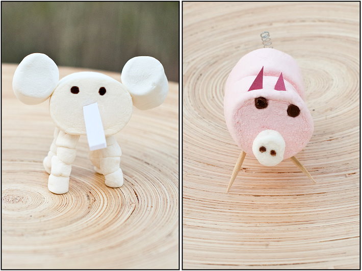 Pinterest ~ Paris Mountain Photography Blog Pinterest ~ Paris Mountain Photography Blog