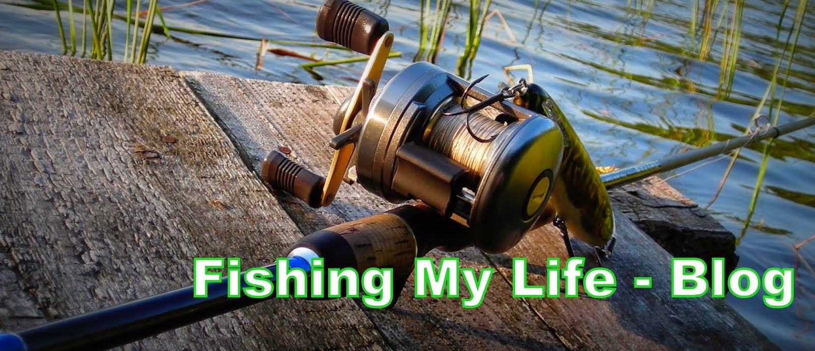 Fishing my Life
