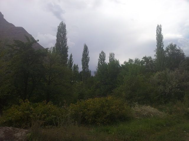 Памирский ботанический сад