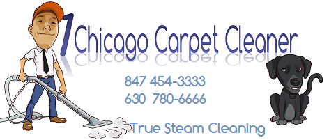 Chicago Carpet Cleaner cleaning pet stain odor removal tips free cleaning tips 