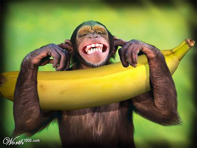 Brasil: De Império a terra de macacos (Um alerta para o mundo). by Gladio Banana-macaco