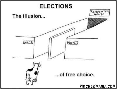funny illusion of free choice