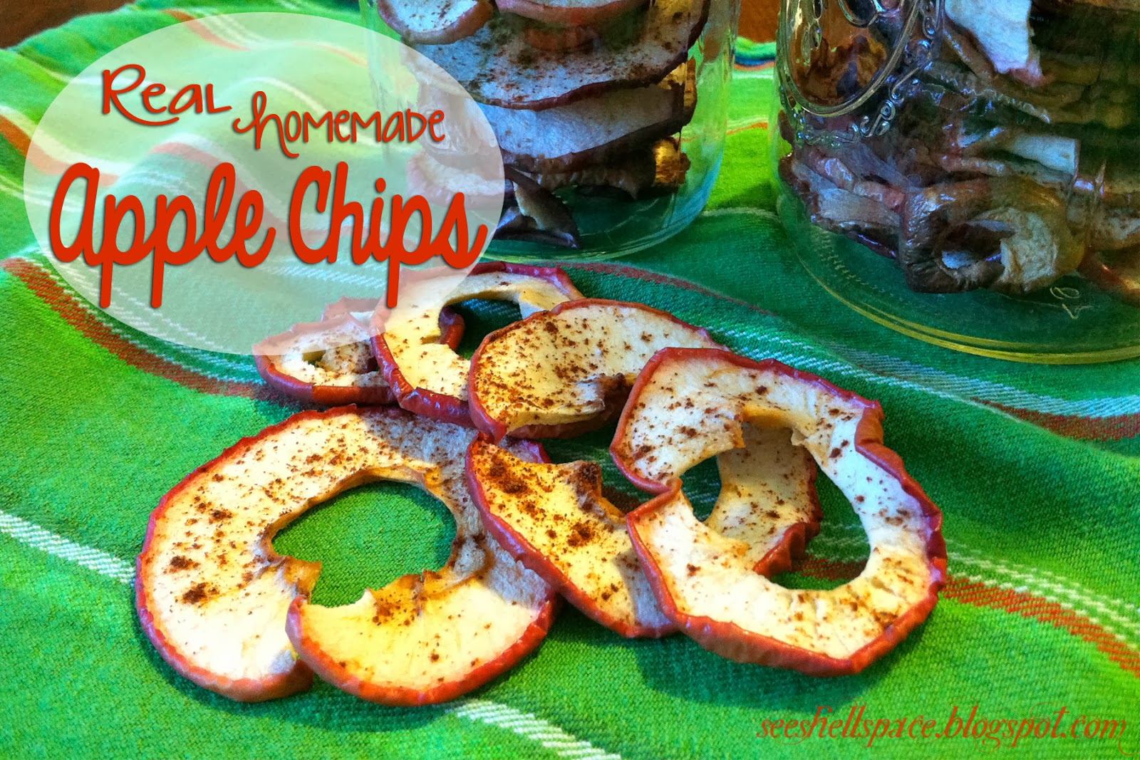 seeshellspace Real Homemade Apple Chips