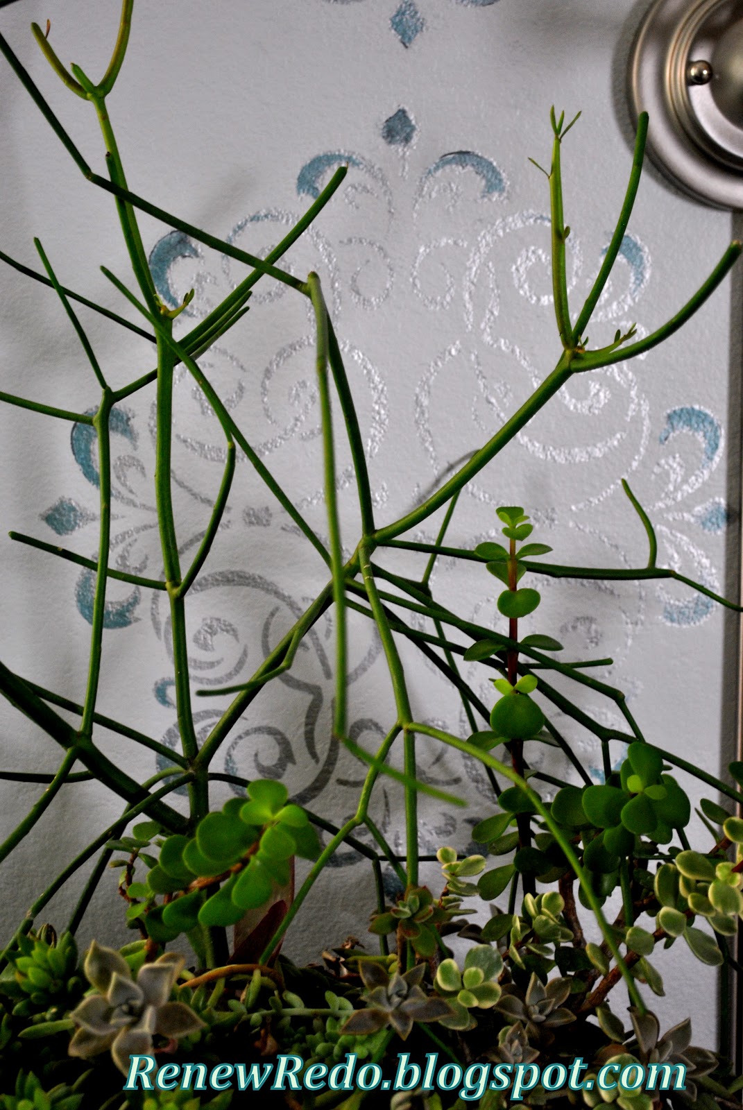 ReNew ReDo! Rub n' Buff Wall Stencil How To