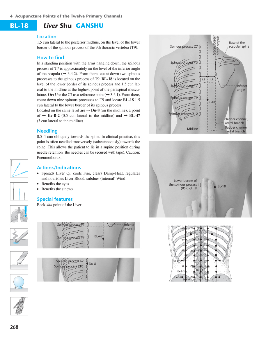 Acupuncture Masters Acupuncture Points Database Bladder Channel