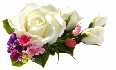 Resultado de imagen para rosas blancas png
