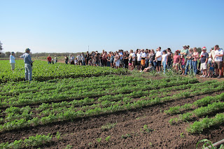 Be The Oak: What's Growing at Johnson's Backyard Garden