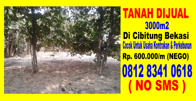 Jual Cepat Tanah Girik Di Cibitung 3000m2, cocok Untuk Bisnis Kontrakan atau Perkebunan.Harga Rp.600.000/m (NEGO). Lokasi Strategis, Akses Tol Cilincing-Cibitung, Bebas Banjir.HUB: 081283410618