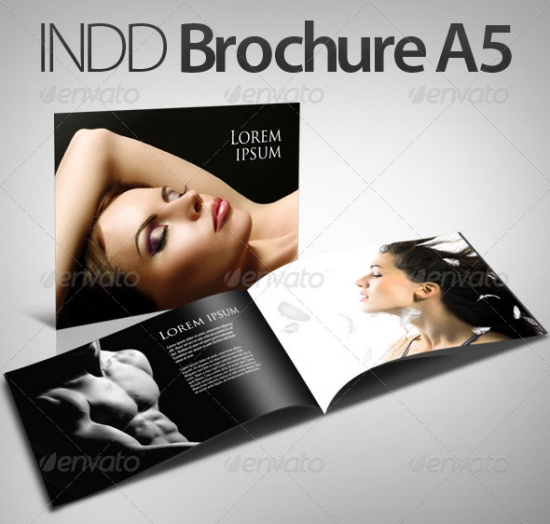 Brochure Indesign Template6