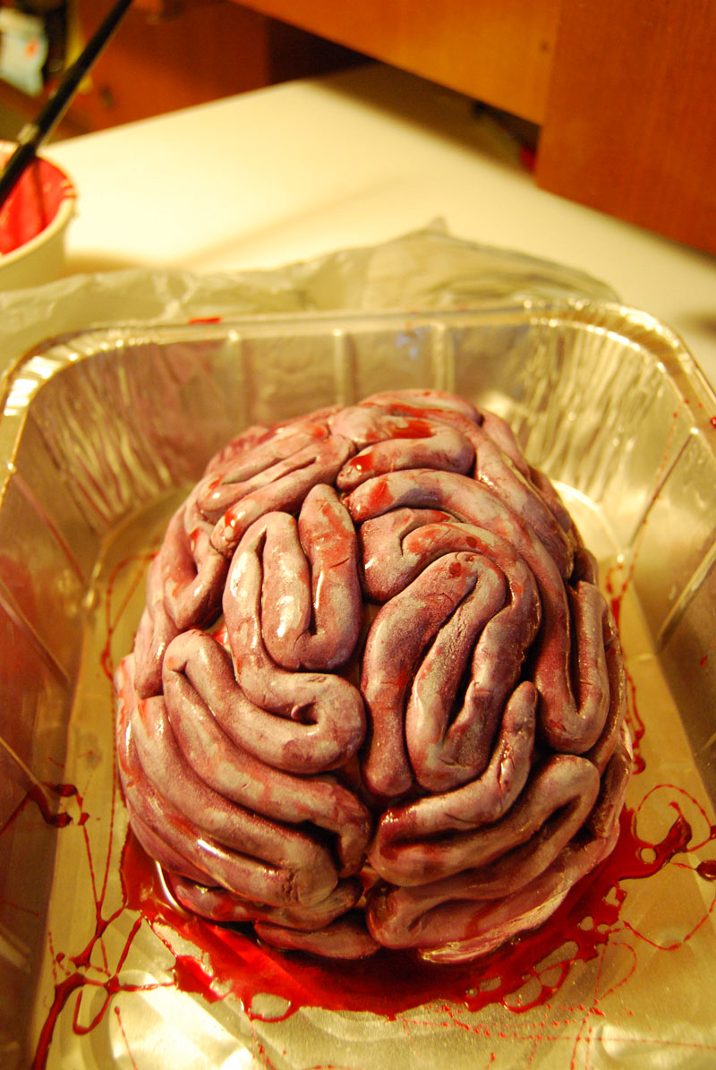 Girl in Winnipeg How to make a fake brain