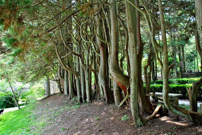 Southeastern PA Hiking Ridley Creek State Park