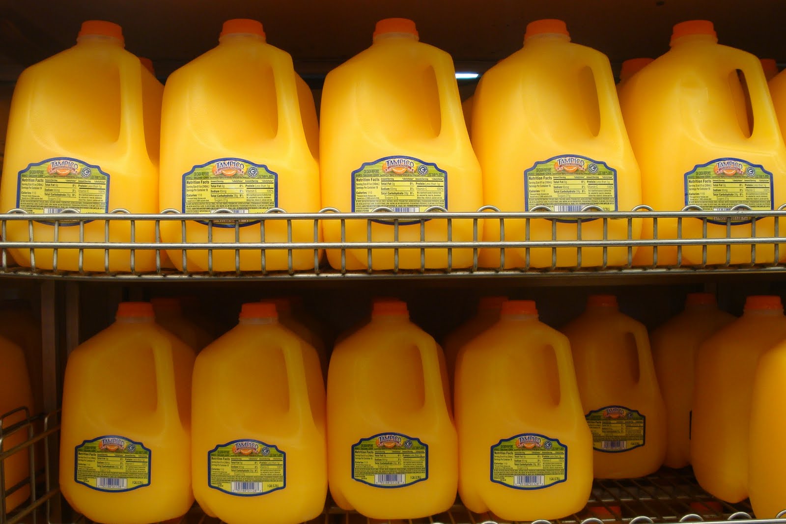 Shopping at the local Mexican grocery store Living Mi Vida Loca