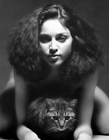 1039526madonna20p.jpg