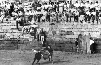 CANDAS TOROS