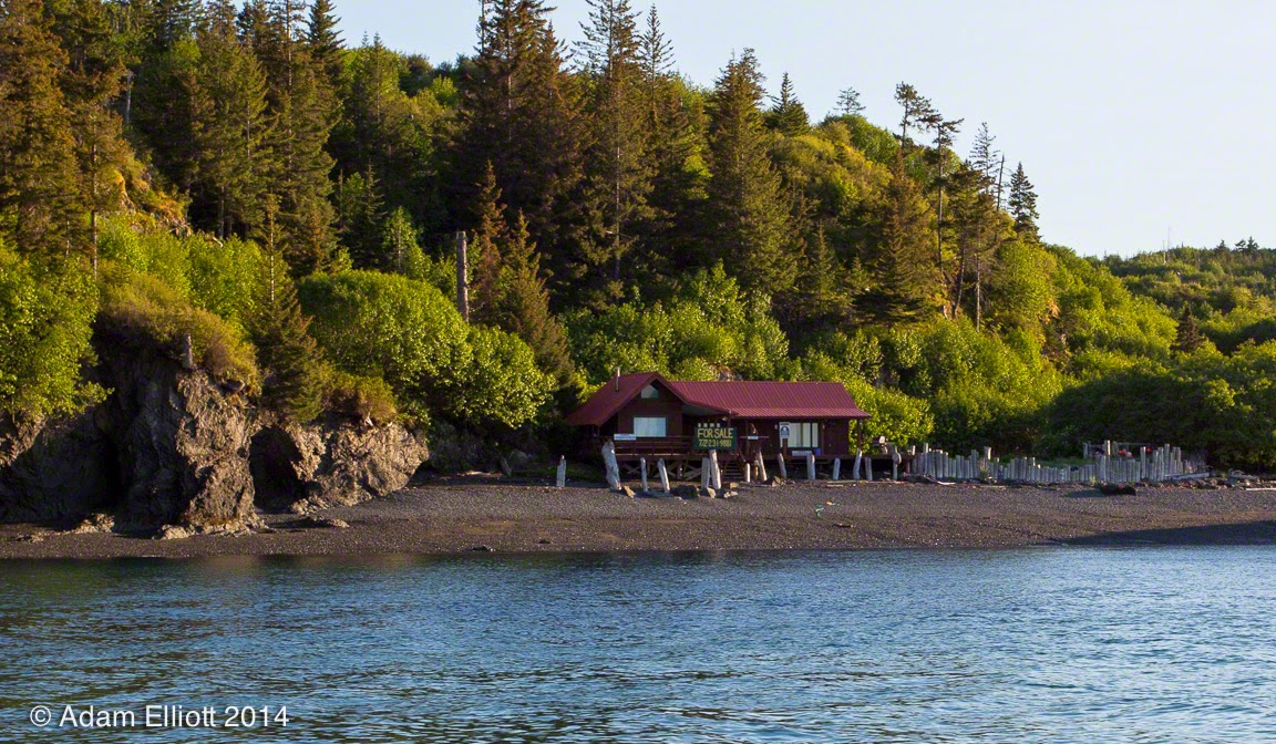 Atom's Picture Blog Halibut Cove, Alaska