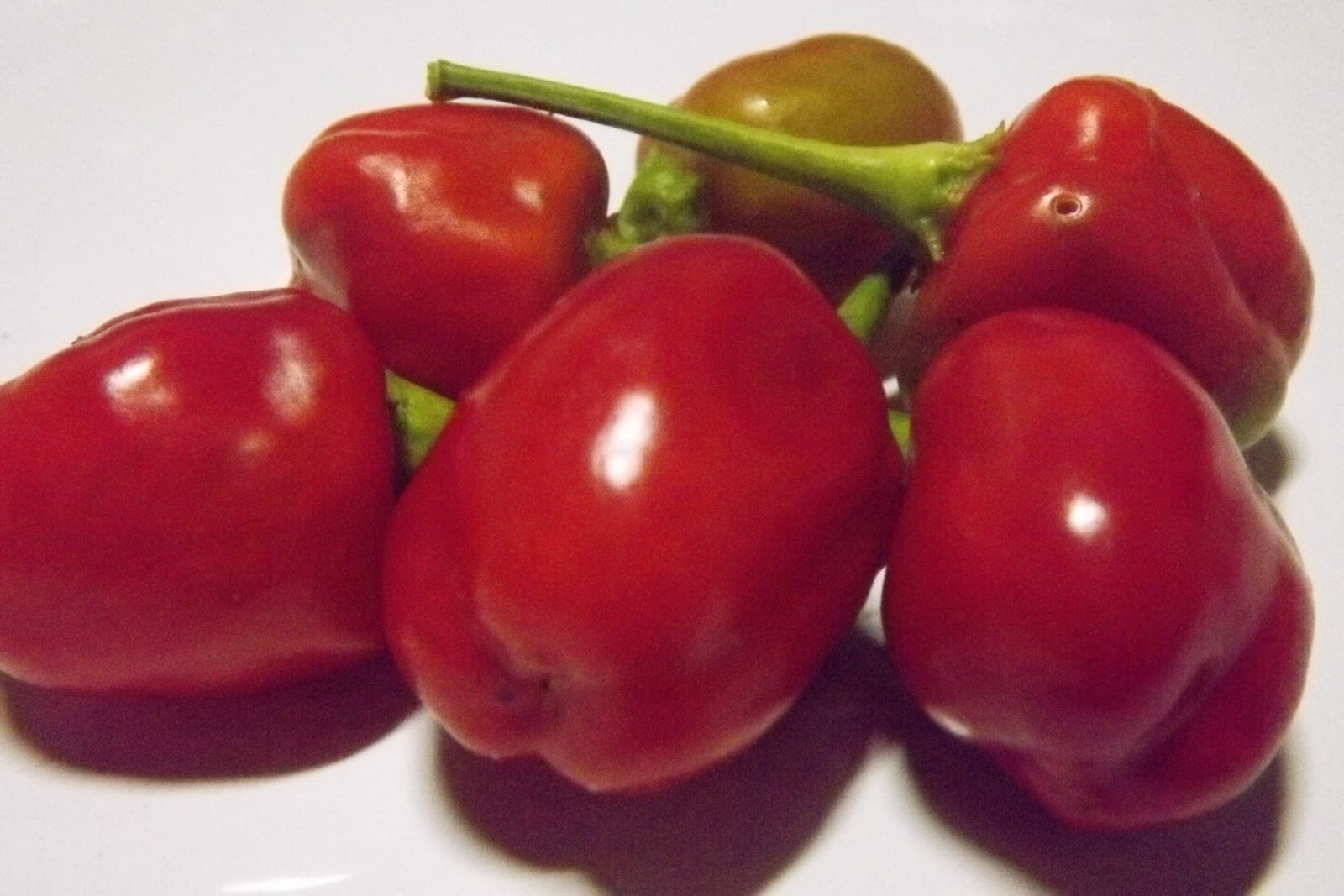 Receitas de Pimenta Que Pimenta é essa?