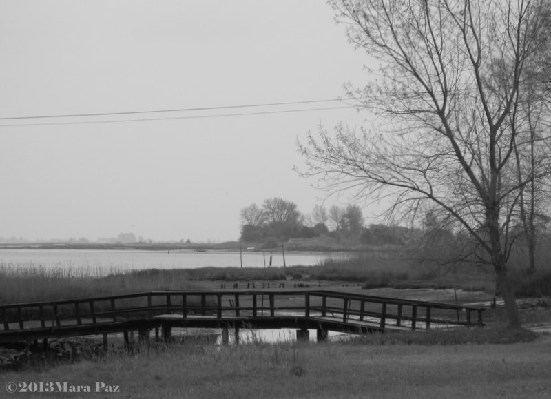 Aveiro Lagoon
