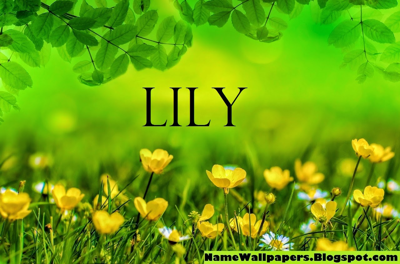 Lily Name Wallpapers Lily ~ Name Wallpaper Urdu Name Meaning Name