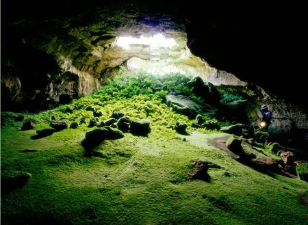 Welcome To Image World