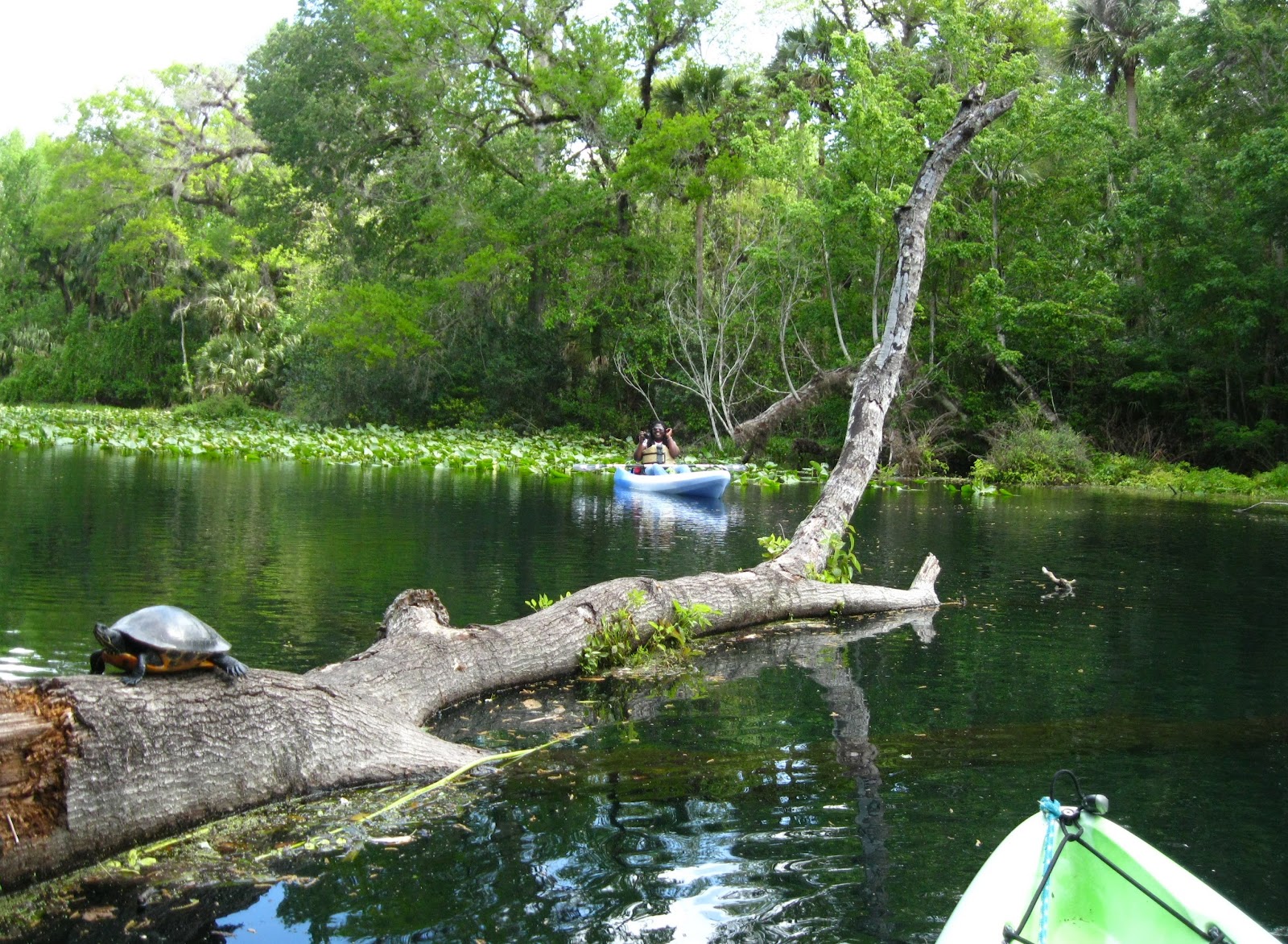 Central Florida Kayak Tours Kayaking in Seminole County, Florida