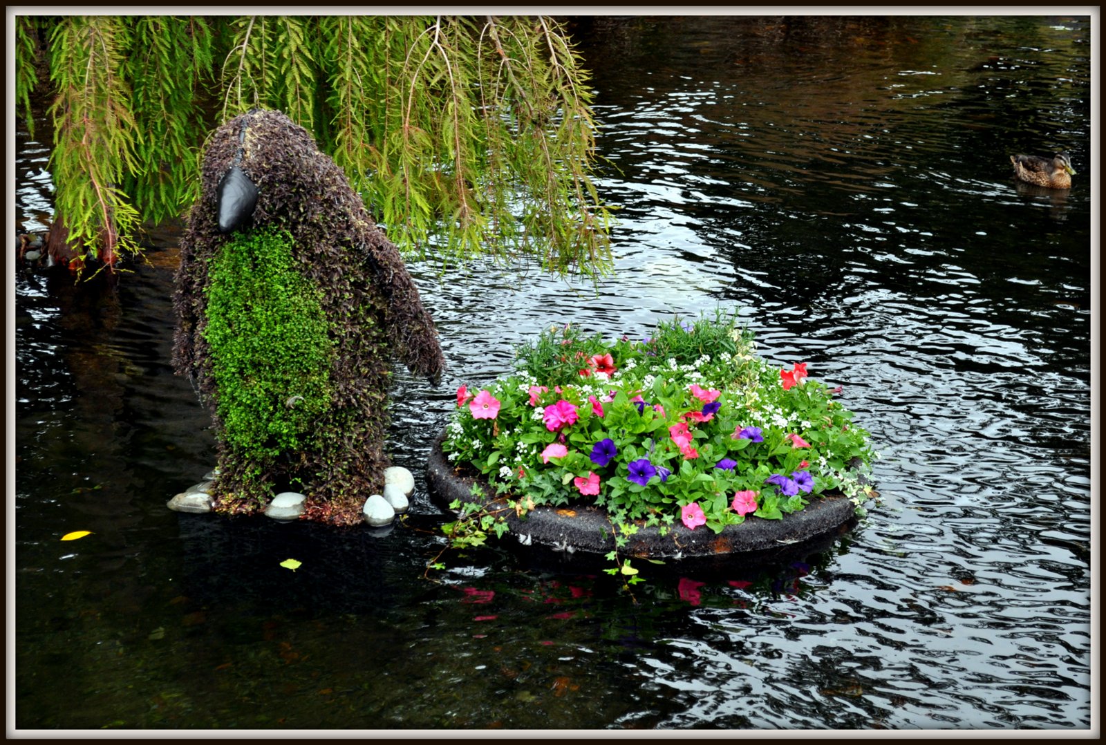 DUTCHCORNER Festival of flowers