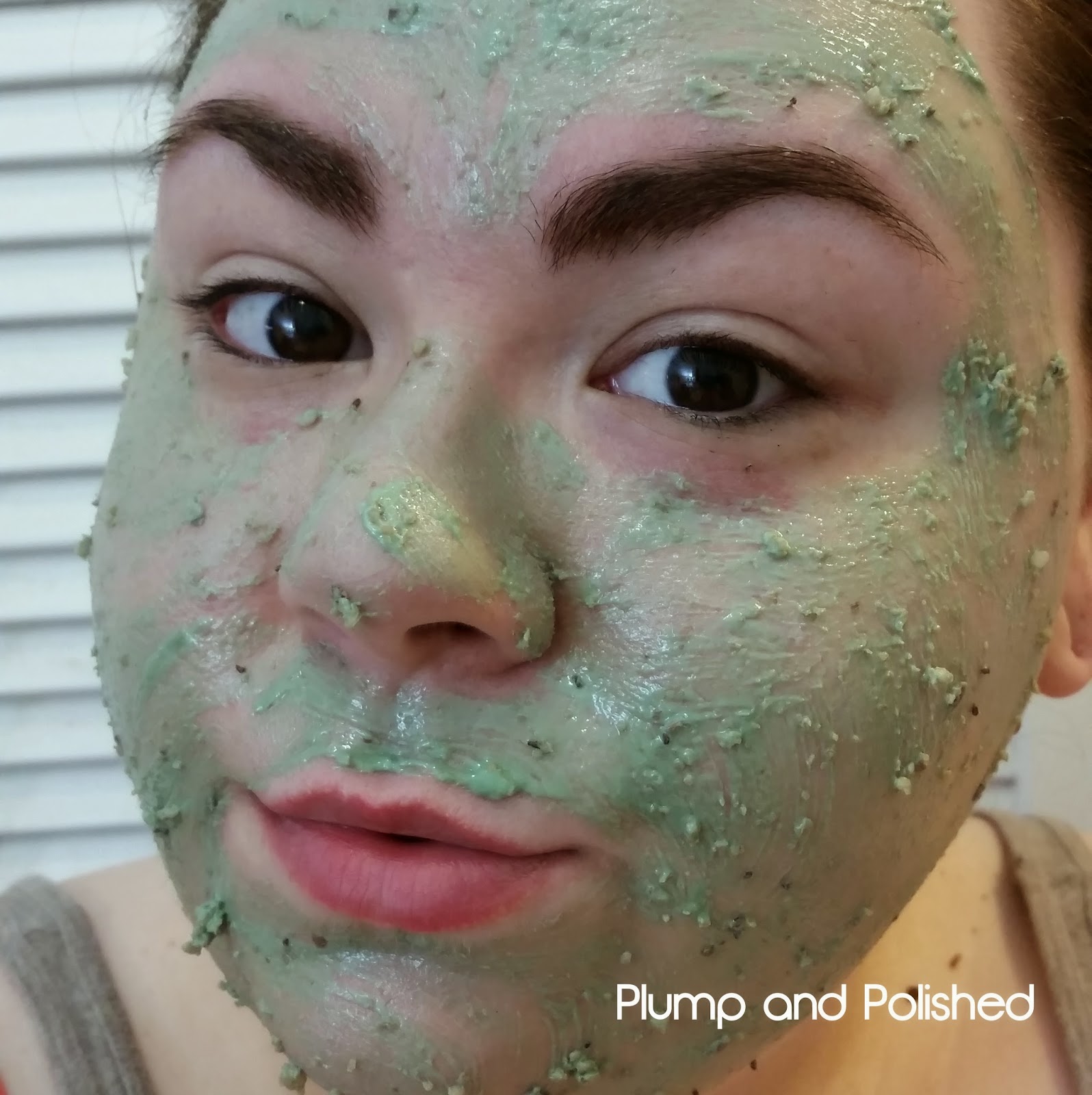 Plump and Polished Lush Cosmetics Self Preserving Mask of Magnaminty