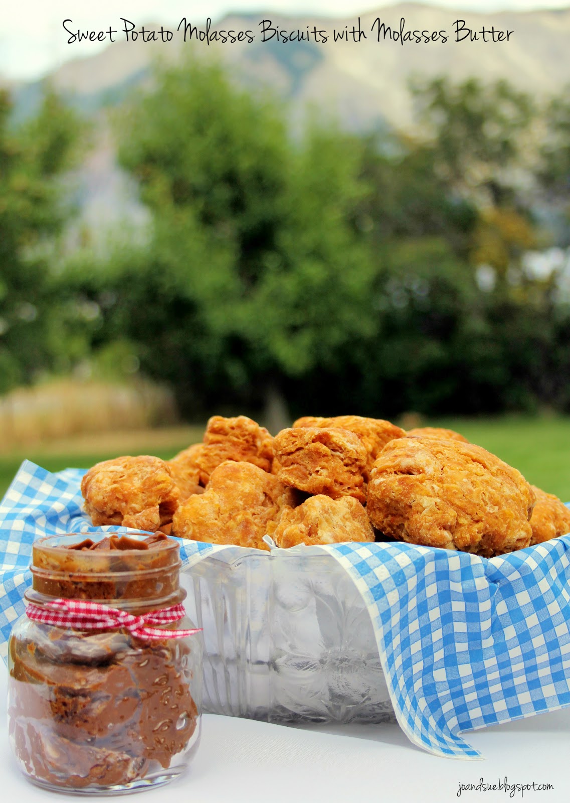 Jo and Sue Sweet Potato Molasses Biscuits With Molasses Butter