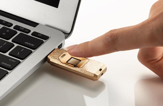 Apacer AH650 Fingerprint Flash Drive