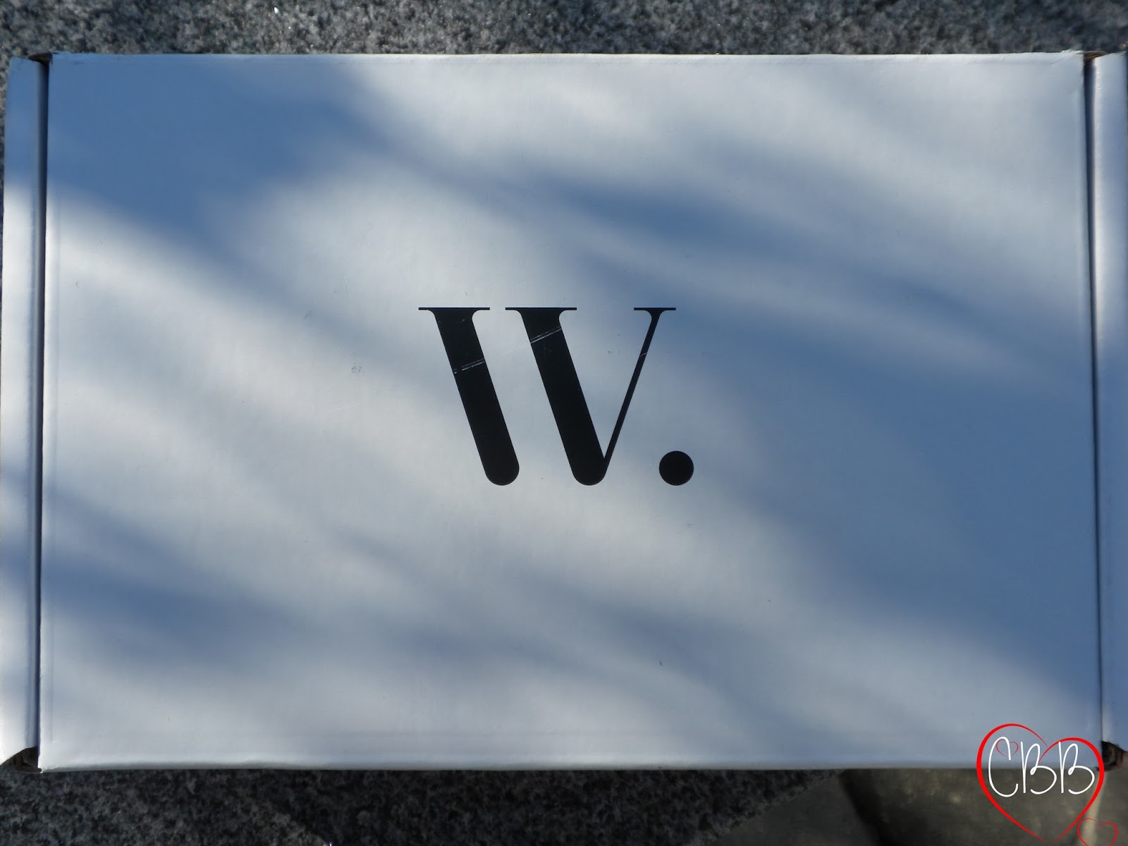 Sammi the Beauty Buff Wantable Makeup Box Nov. 2013 Review