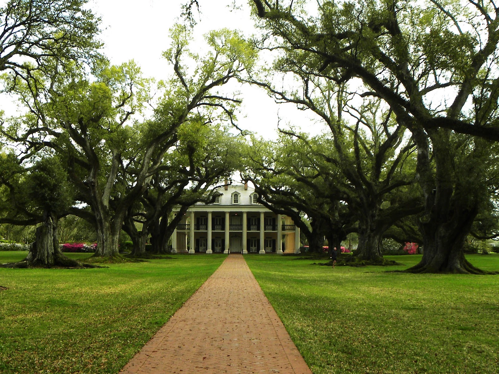 2015 TRAVELS OAK ALLEY PLANTATION ON THE GREAT RIVER LOUISIANA ROAD