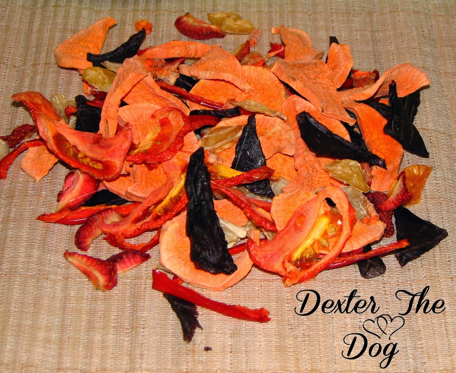 Healthy Home Cooked Dog Food Recipes Dehydrated Scallops and Tidbits