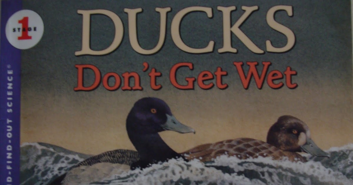 Our Life Studies Blog! Why Ducks Don't Get Wet
