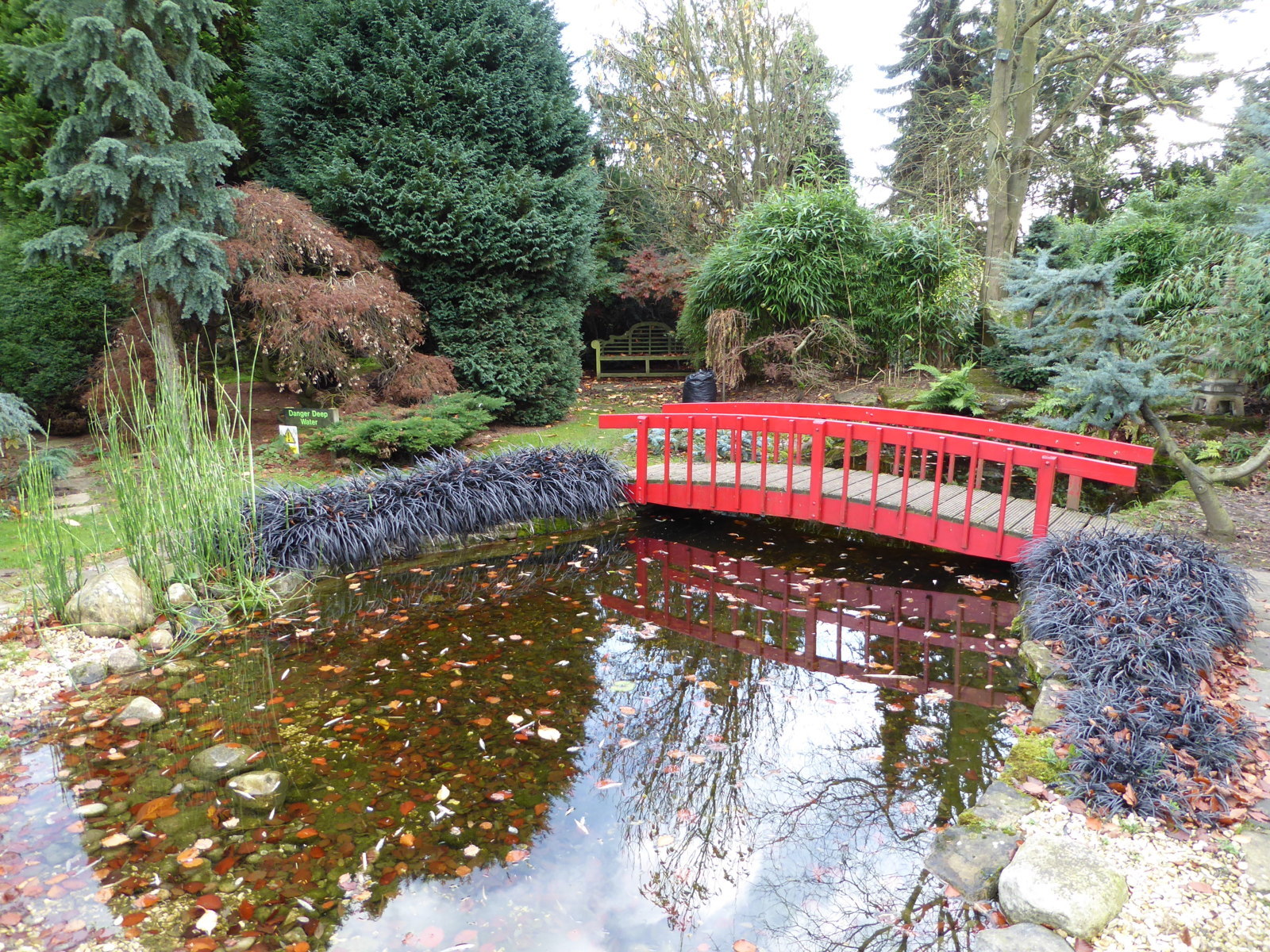 Galanthus Walkers Garden Centre, Doncaster, 16th November 2015