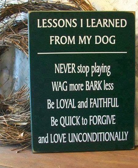 DOG LESSONS