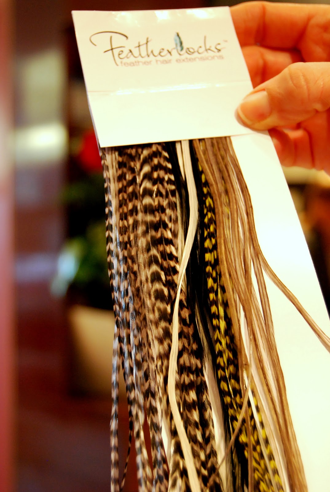 SHOP.STYLE.RUN Featherlocks at Studio 162 My New Spring Hair Accessory