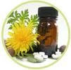 21 NOVEMBRO - Dia da Homeopatia