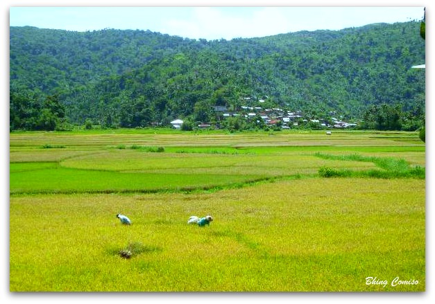 Catanduanes Philippines