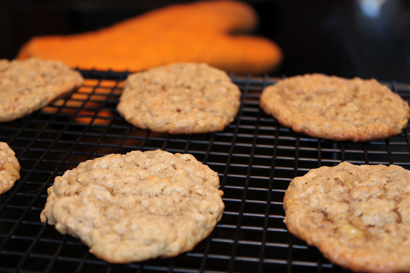 Something Good Every Day Flourless Oatmeal Peanut Butter Banana Cookies