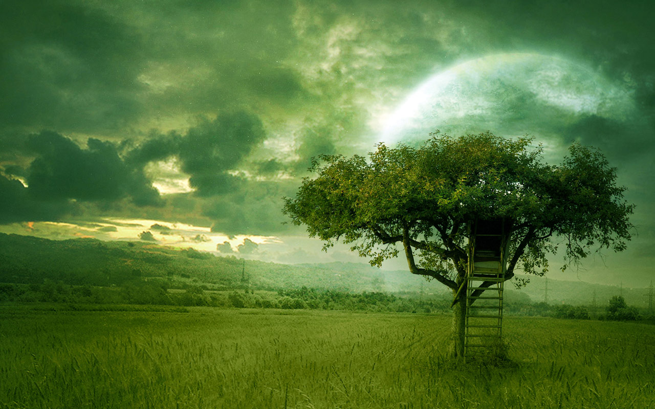 http://1.bp.blogspot.com/-FJ5TG1anzNM/T14I6uI9FrI/AAAAAAAAAWs/IiFu8Qg0iew/s1600/nature-dream-desktop-wallpaper.jpg