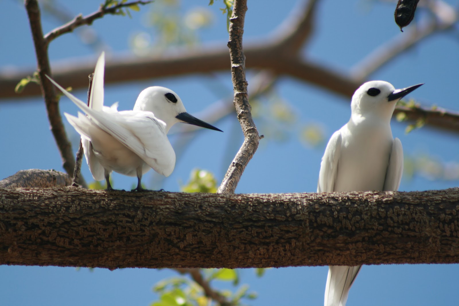 My Time in the Mariana Islands