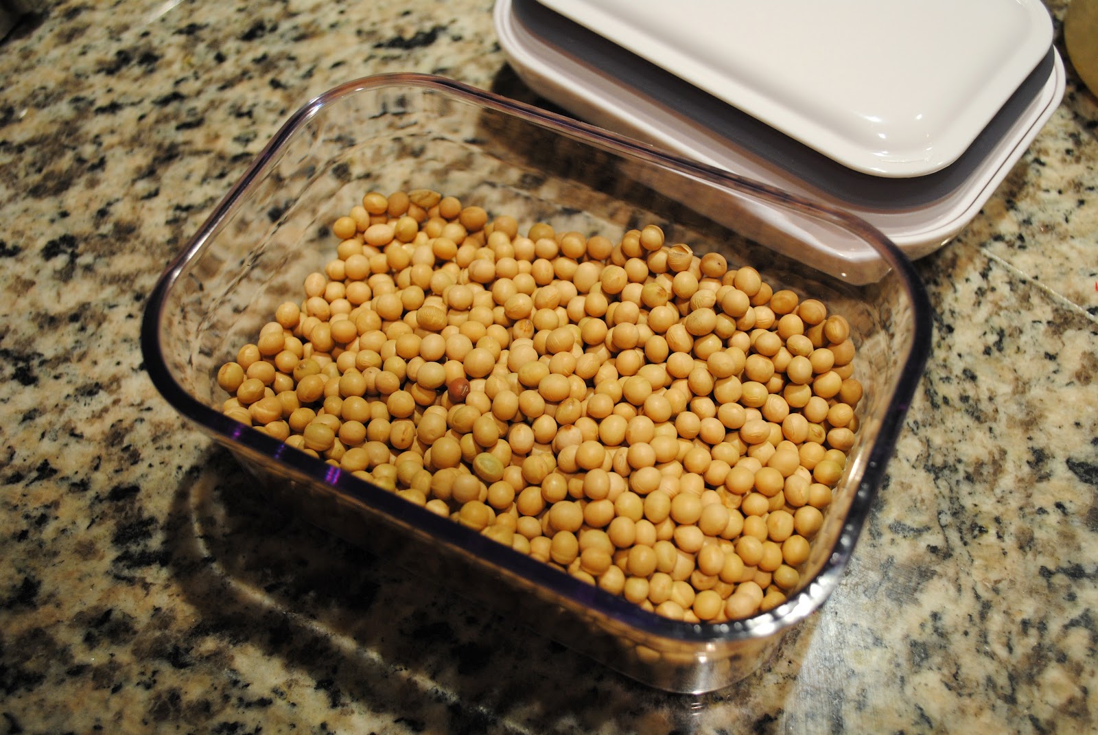 Veggies for Carnivores On Making Tofu