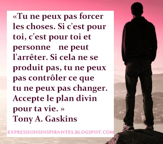 Expressions Tu ne peux pas forcer les choses Expressions Tu ne peux pas forcer les choses