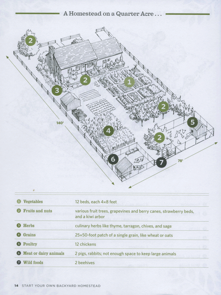 Backyard+Homestead+Layouts Here is there 1/4 acre plot design. Granted, house size and lot ...