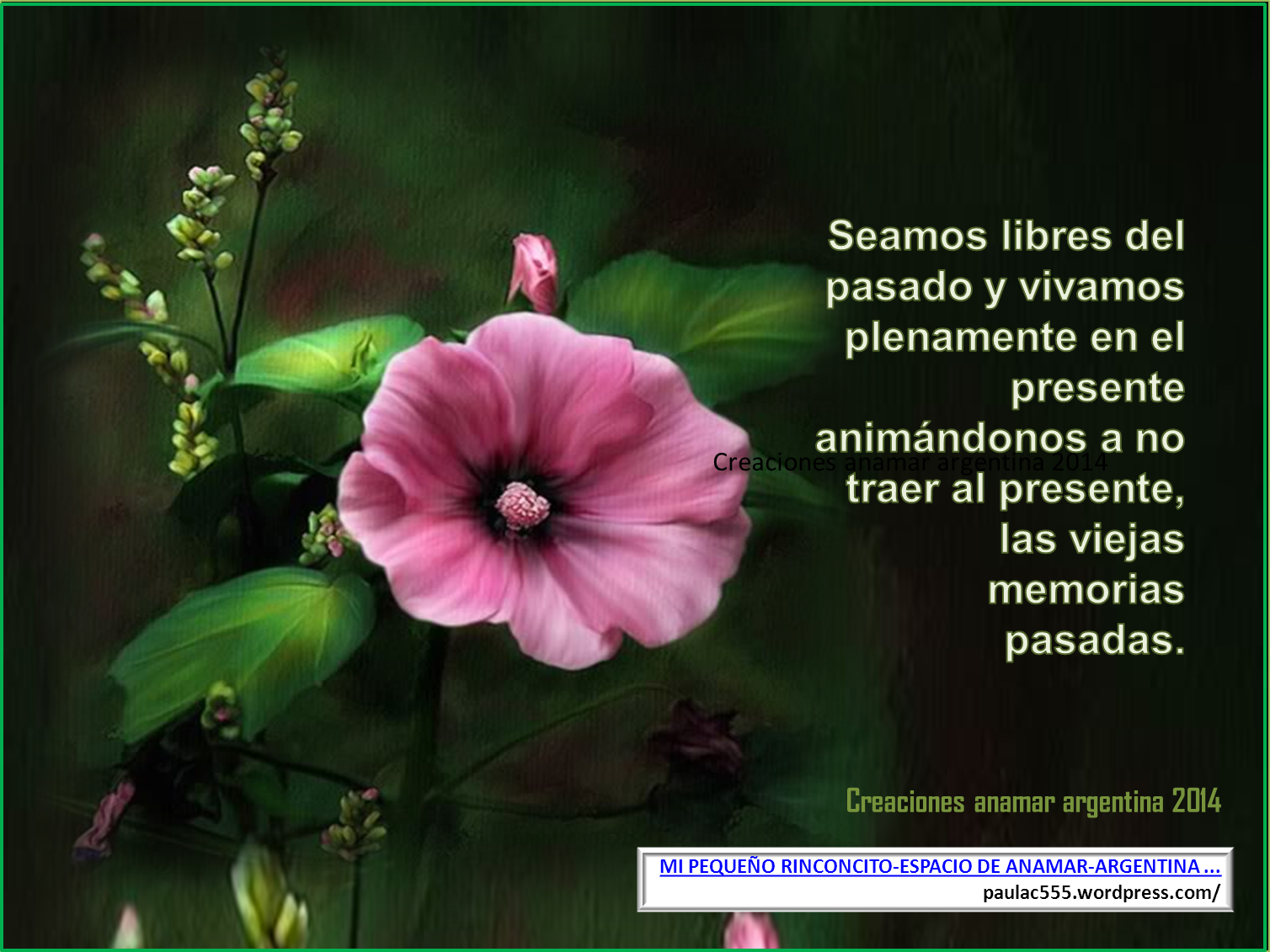 Image result for REFLEXIONES ANAMAR Y SUS AMIGOS