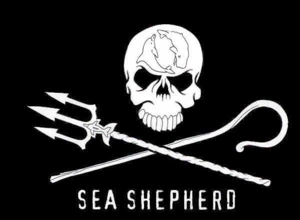 Sea Shepherd España