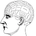 How is Your Personality Linked To Your Health?
