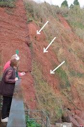 ARCHIVE: DANGEROUS STATE OF CLIFF FACE