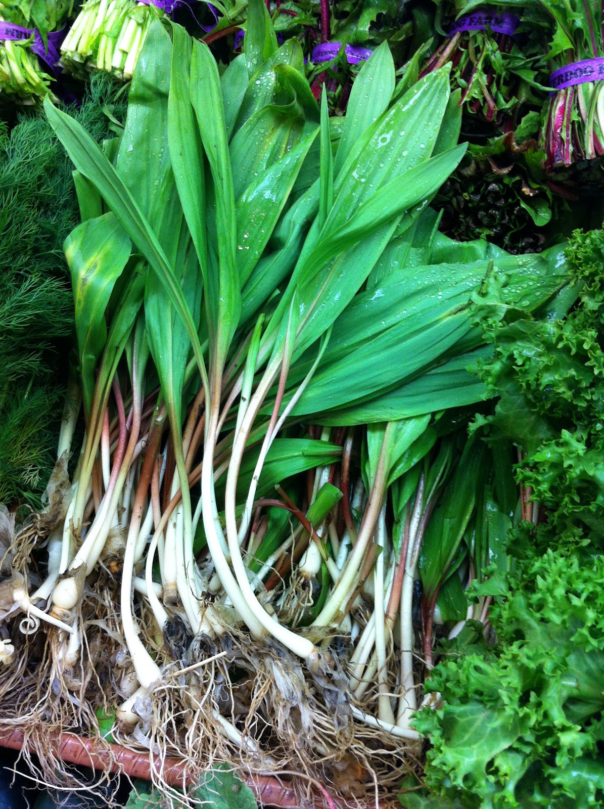 Food Sparks May Vegetables