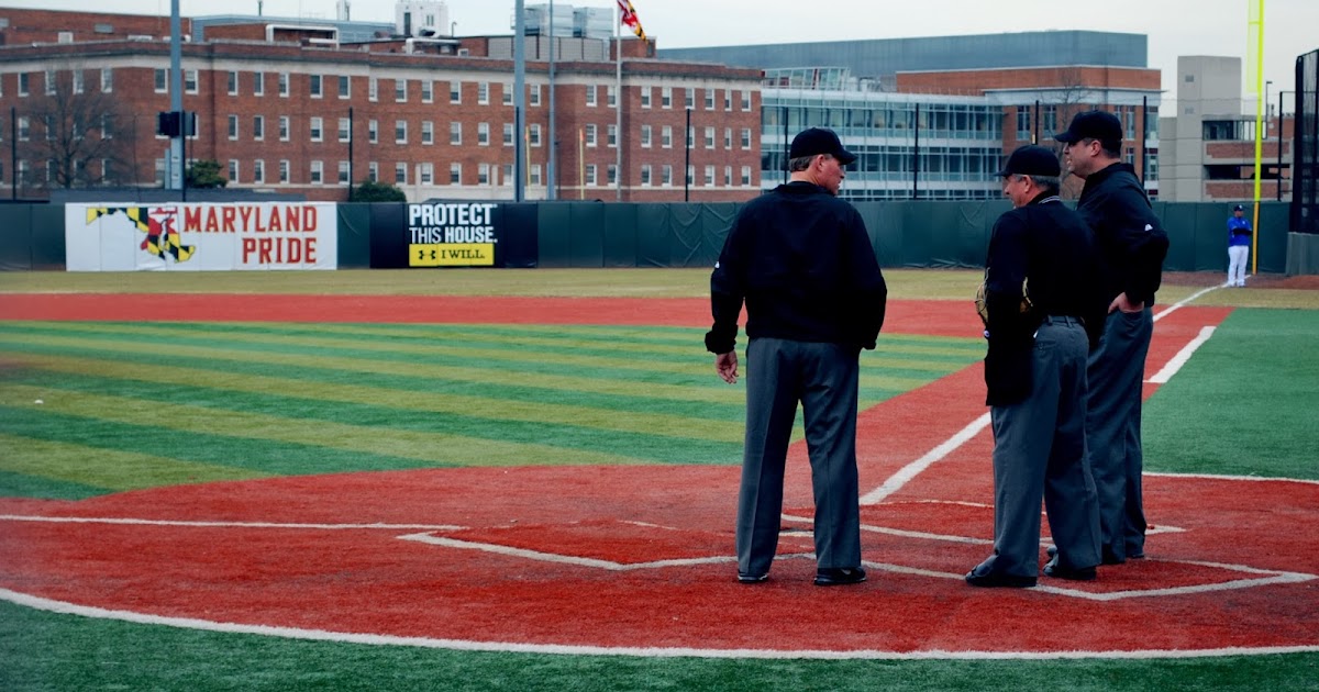 Baseball essay topics image