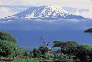 Kilimanjaro-fjellet!